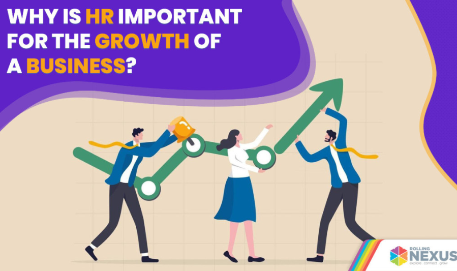 Why Business Growth Is Important